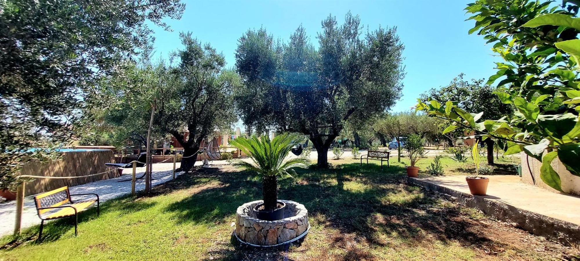 Parco Esmeralda - Family Residence E Breakfast Marina di Camerota Eksteriør bilde
